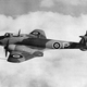 Illustration for article titled Wingspan: Did you know?